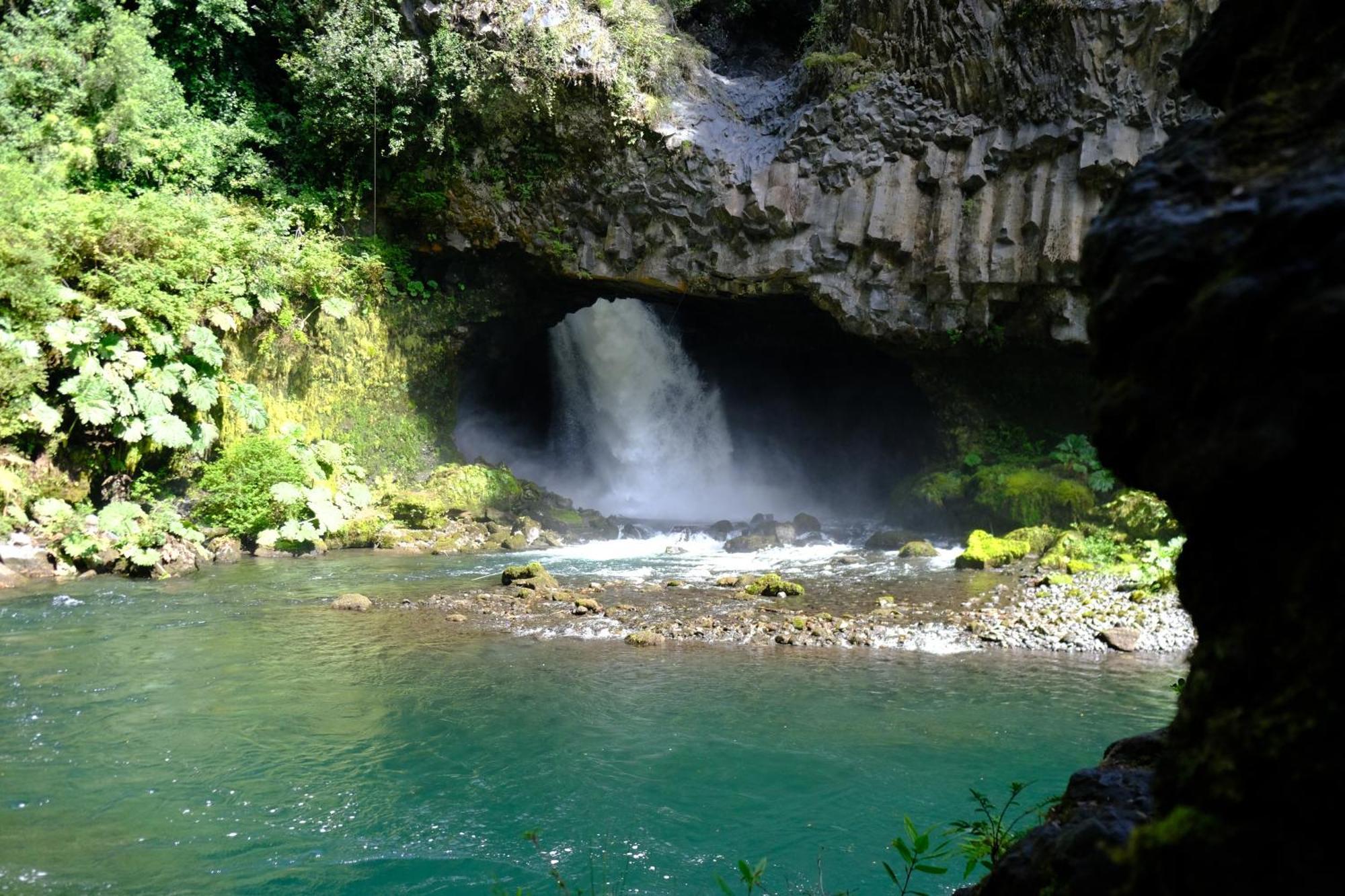 Bosque Rio